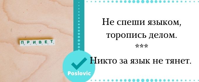 10 пословиц о русском языке